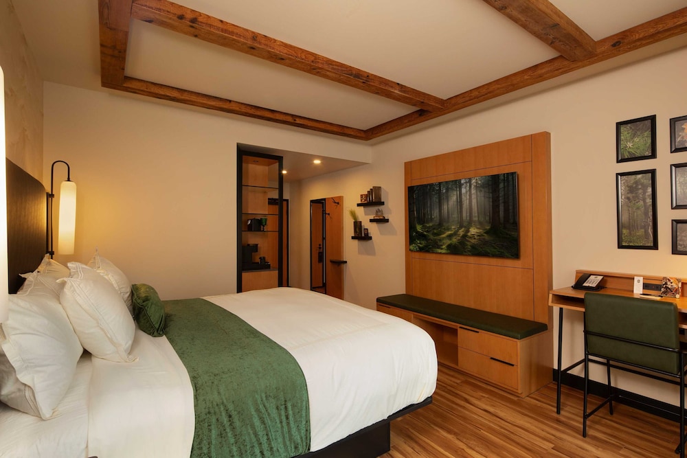 The Swiftwater - photo 24