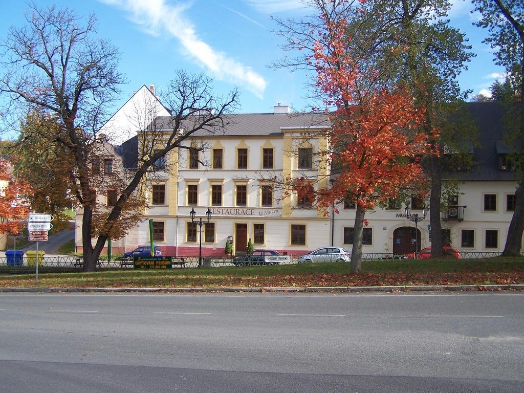 Restaurace U Muzea — hotel in Horni Slavkov