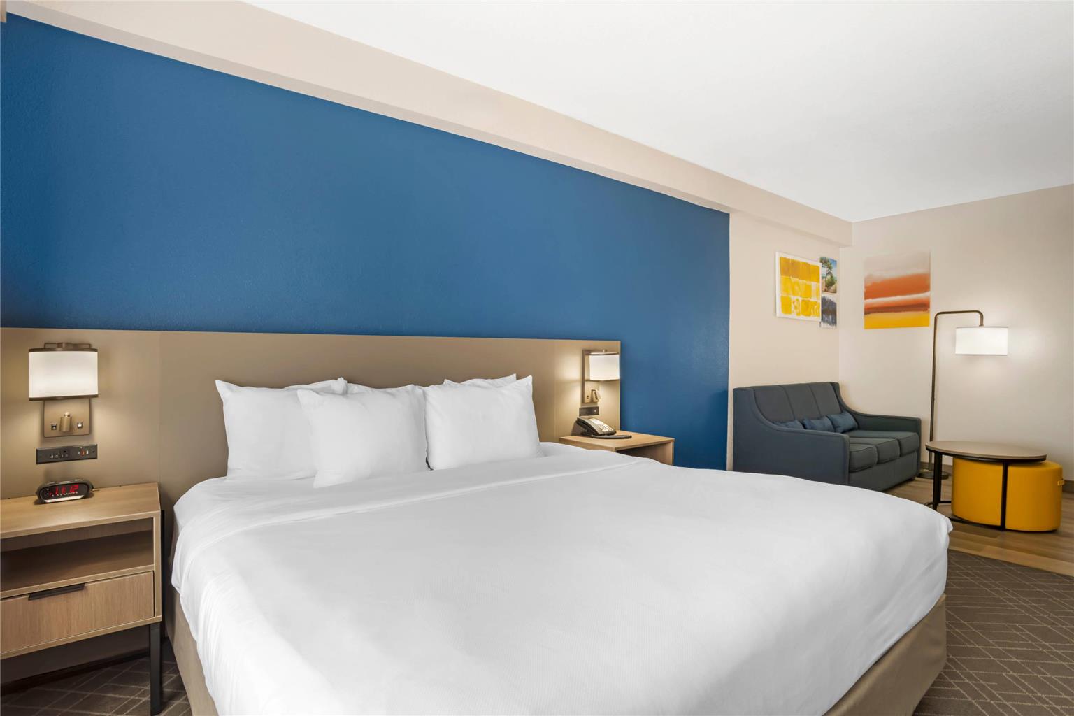 Comfort Suites Gastonia Charlotte - photo 19
