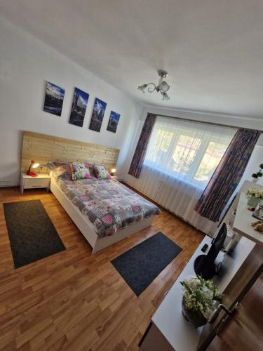 Bubu Apartament — Petrosani — photo 4