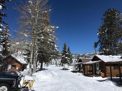Grandview Cabins & RV Resort - photo 4