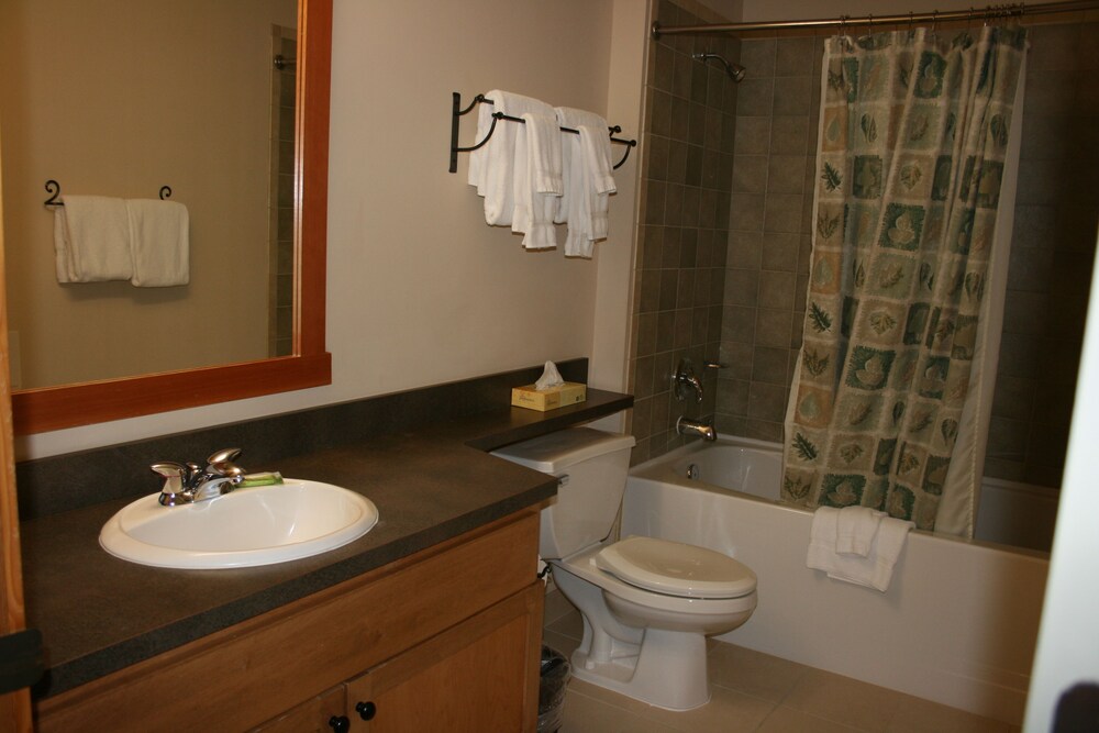 Schweitzer Mountain Resort White Pine Lodge - photo 7