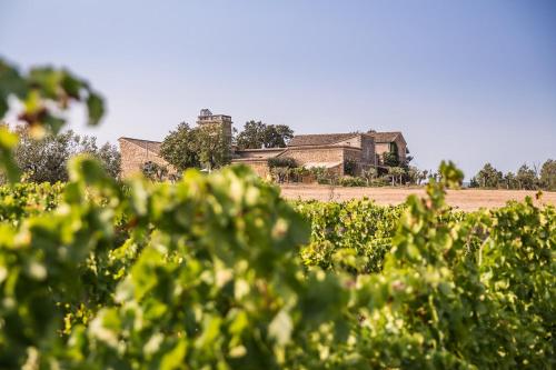 Domaine Sainte Suzanne in Beziers, France