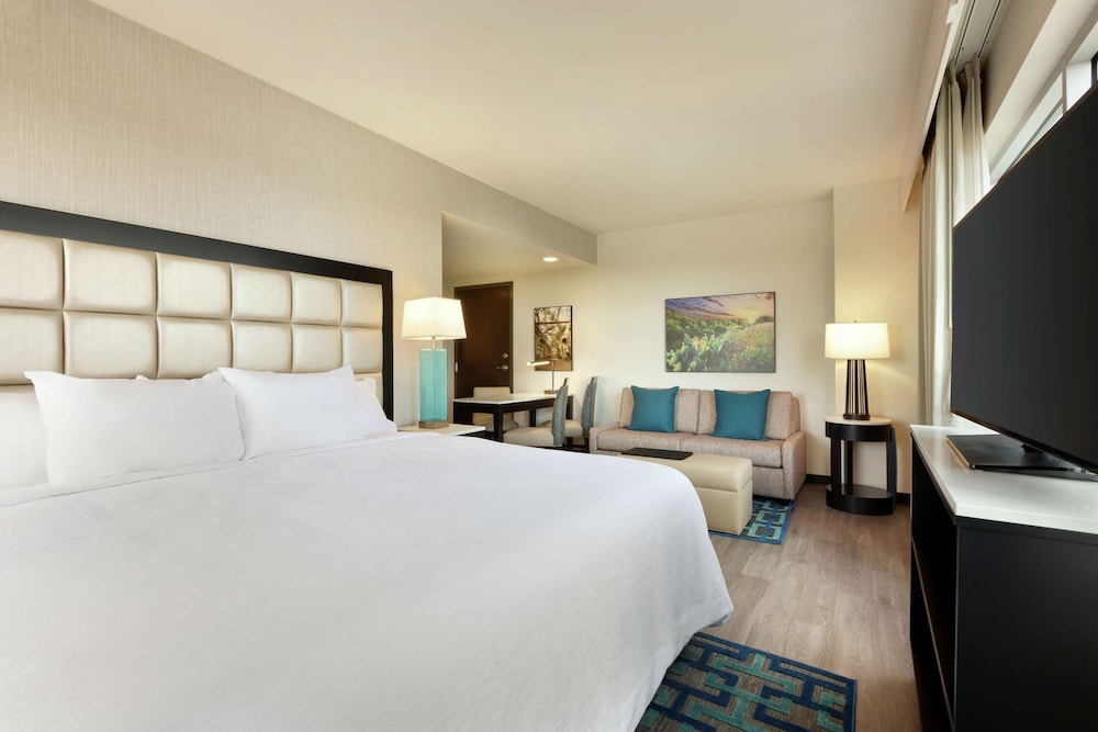 Embassy Suites by Hilton San Antonio Landmark - photo 9