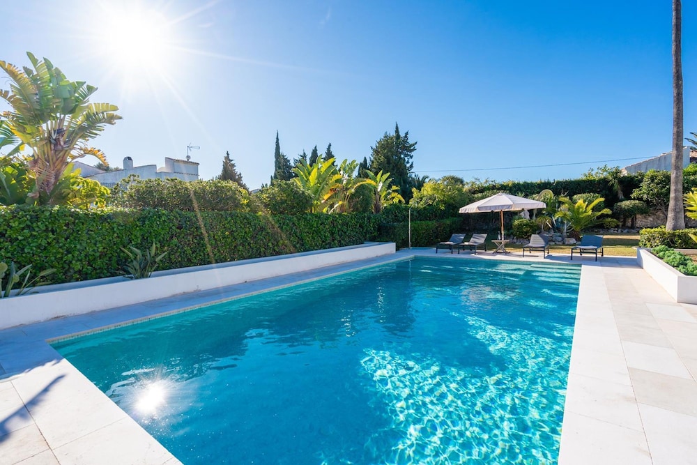 Jujube in El Tosalet — Javea — photo 4