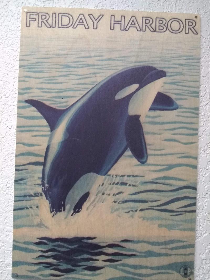 The Orca Inn - photo 16