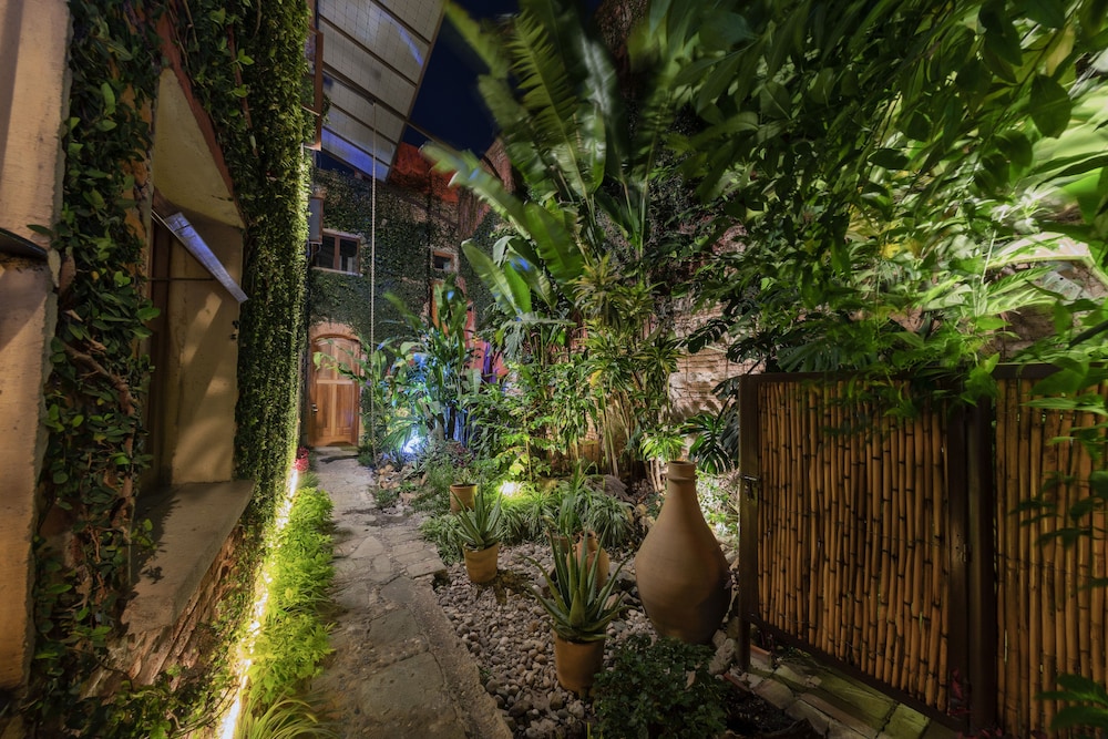 Garden
