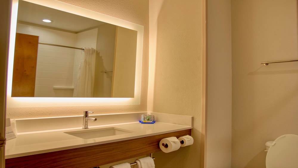 Holiday Inn Express Hotel & Suites BYRAM by IHG - photo 15