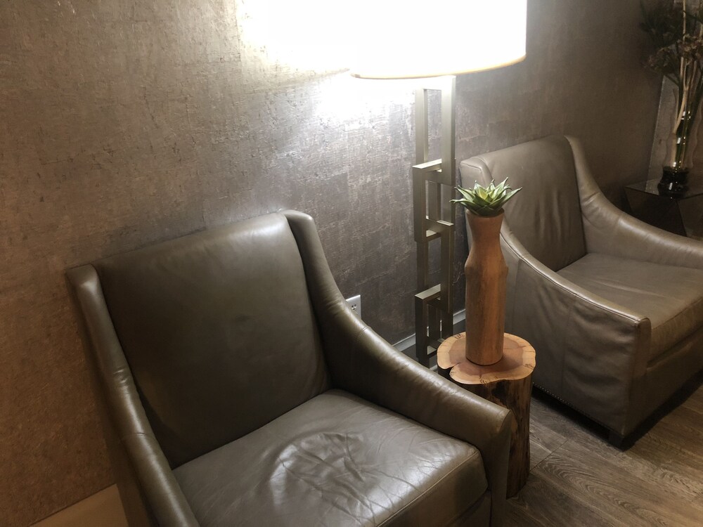 Ithaca of South Beach Hotel - photo 5