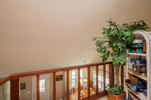 Into The Mystic by Oak Island Accommodations - photo 17