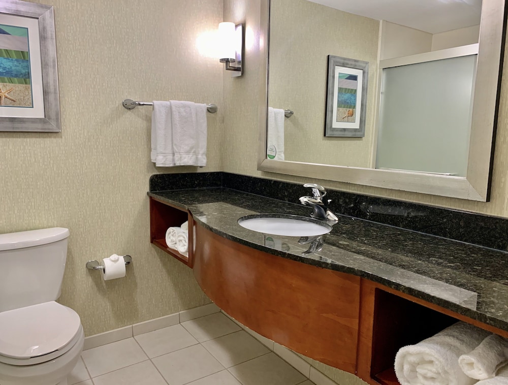 Holiday Inn & Suites Virginia Beach North Beach by IHG - photo 38