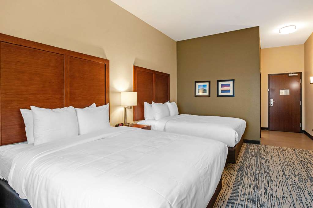 Comfort Inn and Suites Ames near ISU Campus - photo 11