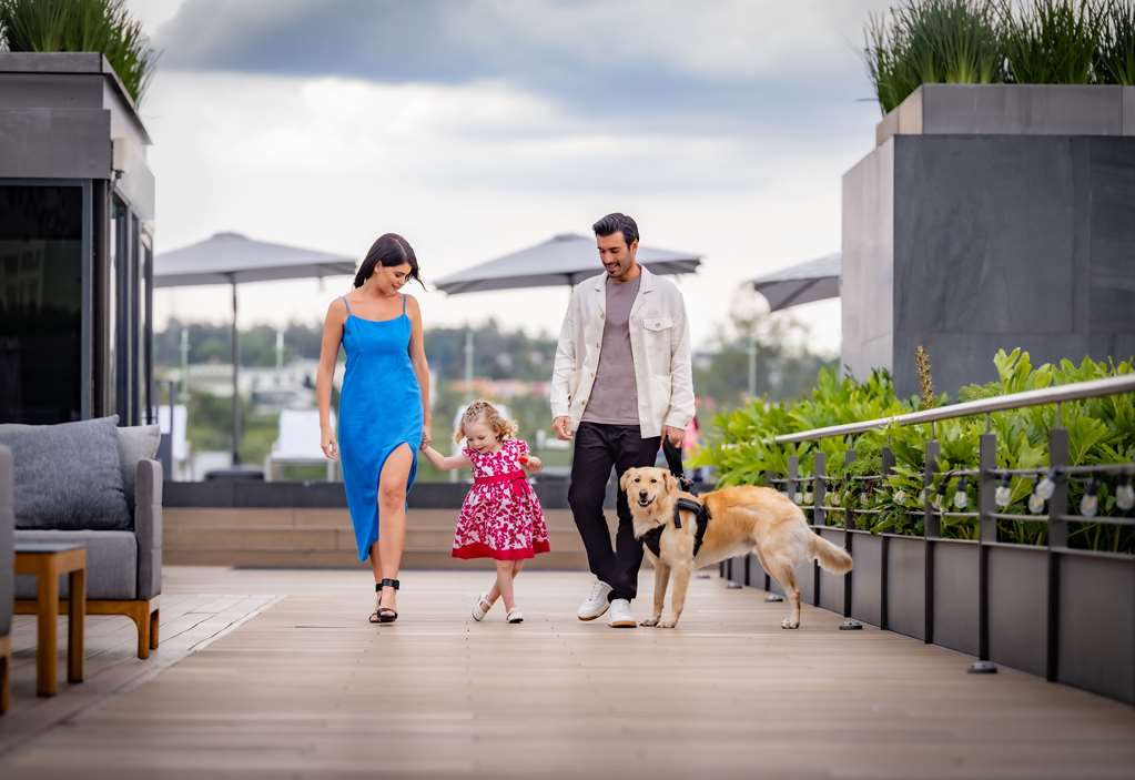 FAMILY ROOF