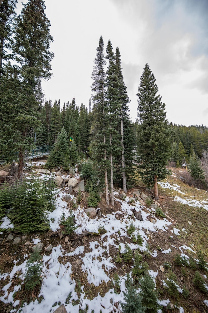 Iron Horse by Stay Winter Park - photo 67