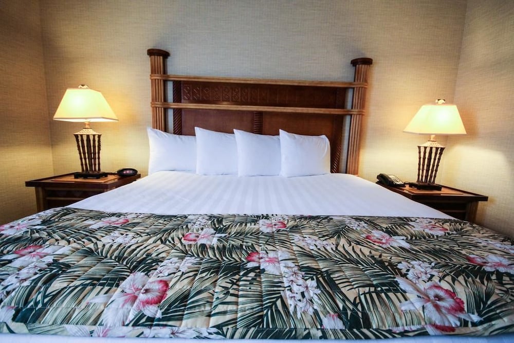 Maui Sands Resort & Indoor Waterpark - photo 8