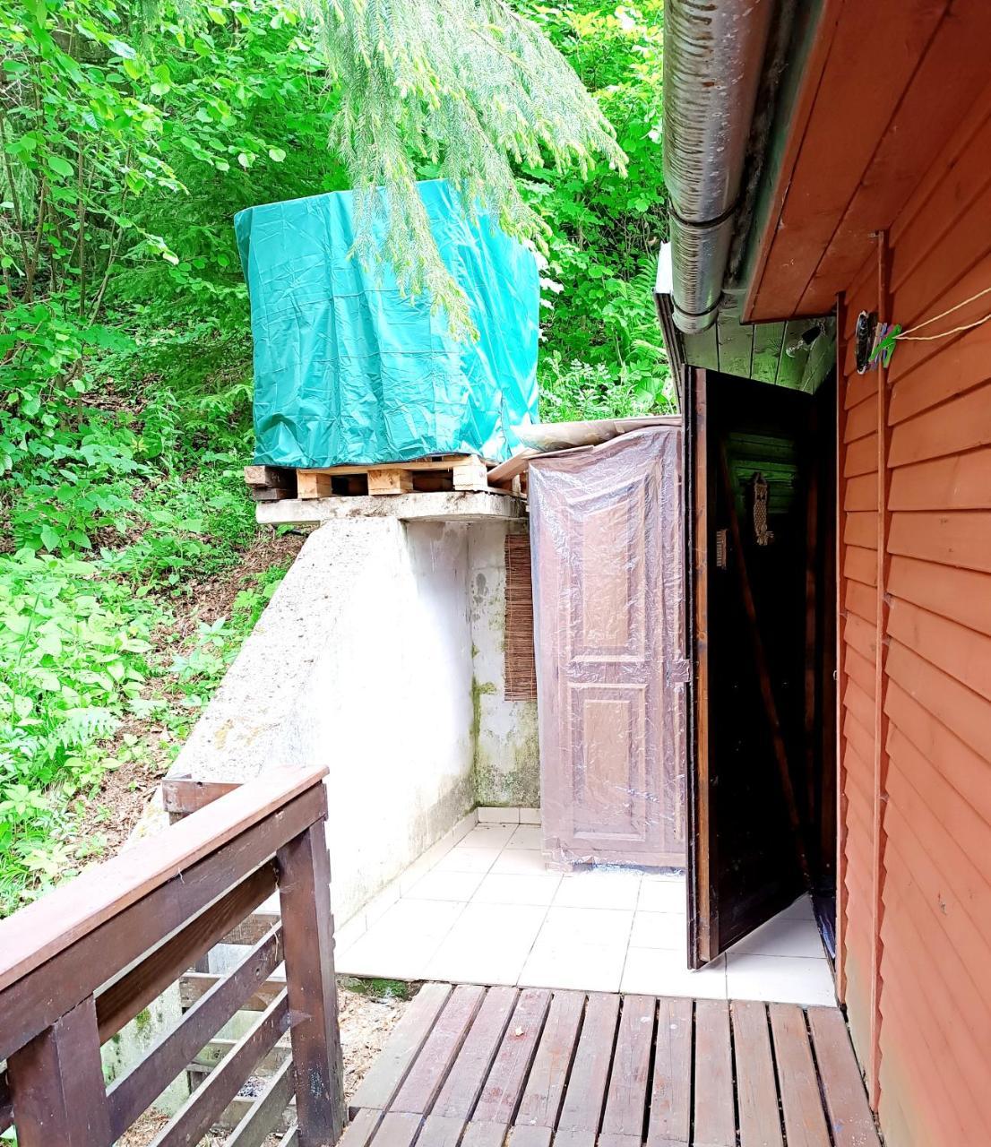 Cabana Din Padure — Poiana Vadului — photo 4