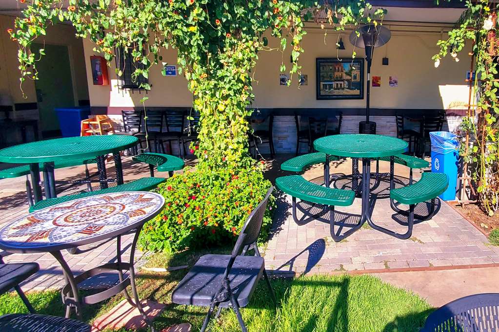 Quality Inn & Suites Anaheim At The Park - photo 41