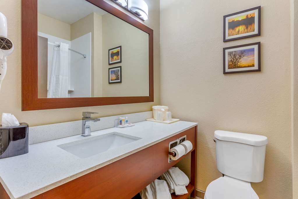 Comfort Inn Rockford near Casino District - photo 29