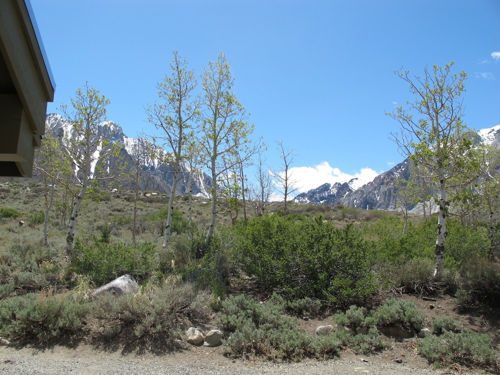 Convict Lake Resort - photo 43