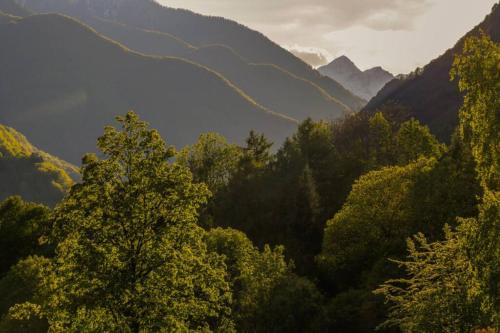 Villa Edera Exclusive Rental — 4-Star Luxury Hotel in Gordola, Switzerland