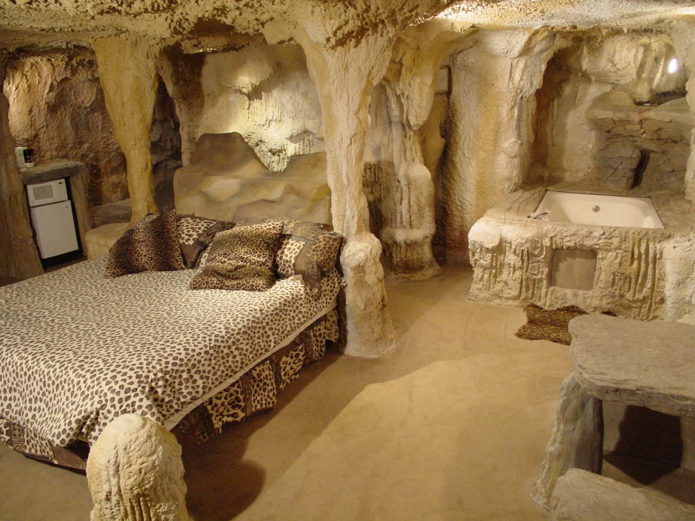 Wildwood Inn Tropical Dome & Theme Suites - photo 14