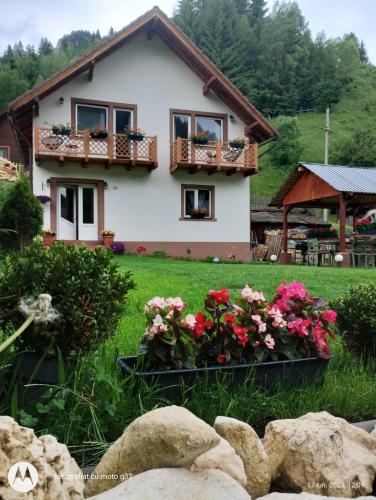 Căsuța lui Matei - last minute hotel in Unknown City