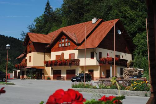 Pri Vidrgarju in Mozirje, Slovenia