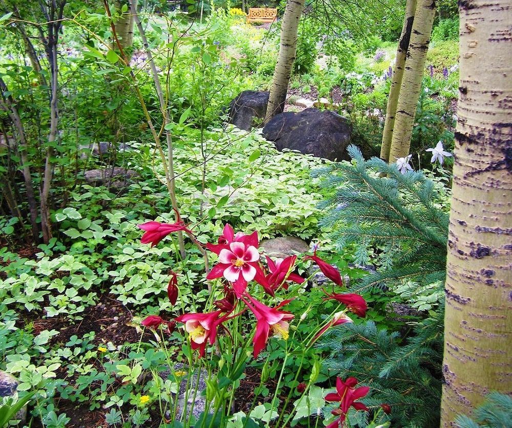 Foxtail Gardens - photo 9