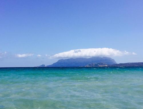 Il Fenicottero Rosa in Olbia, Italy