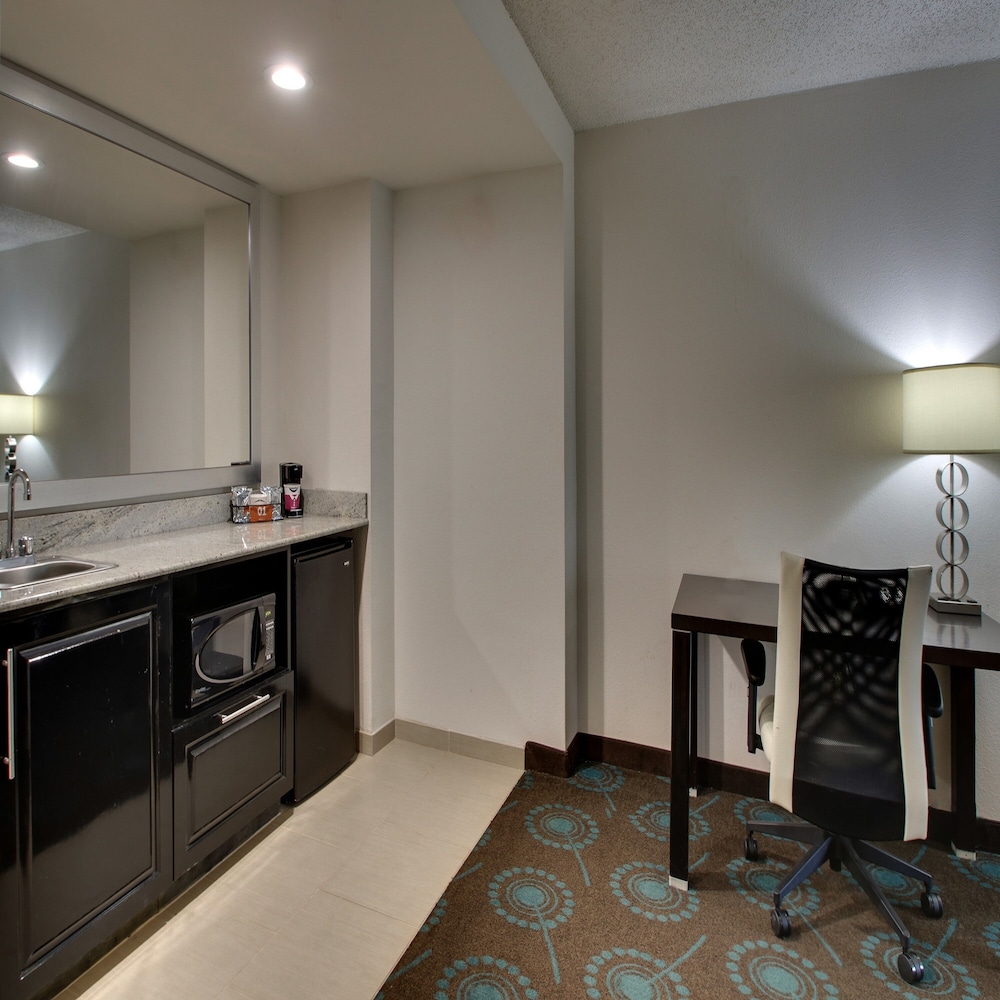 Hampton Inn Shreveport Airport - photo 83