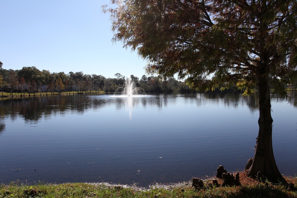 Sherwood Forest RV Resort - photo 6