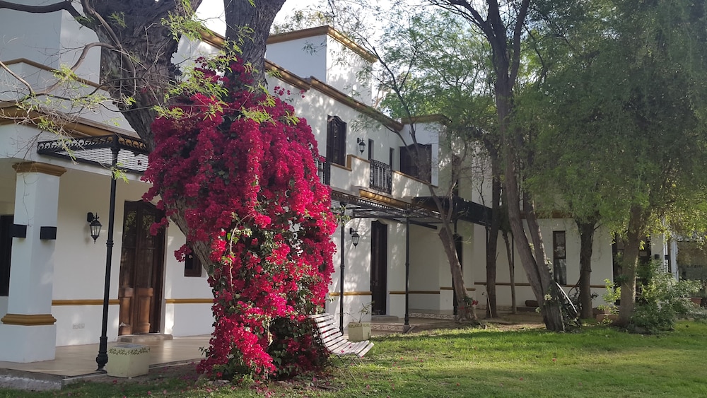 Posada del Olivo — Chilecito — photo 2