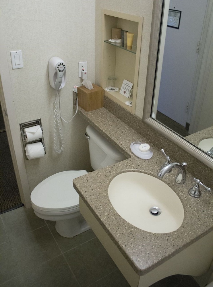 Handlery Hotel - photo 14