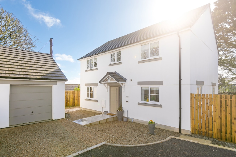 Abelia in St Ives, United Kingdom