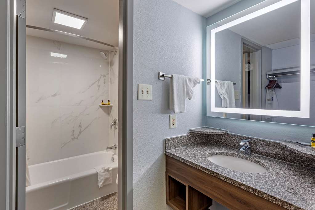 Best Western Plus St. Louis West Westport - photo 16