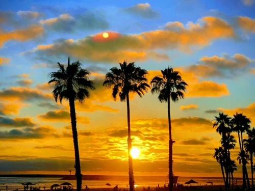 209A Beach Living at its Best in Oceanside, United States