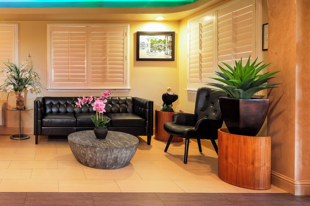 Hotel Mira Vista - photo 6