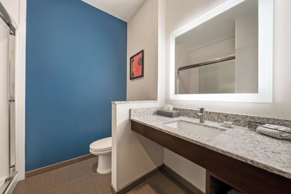 La Quinta Inn & Suites by Wyndham Sulphur - photo 10