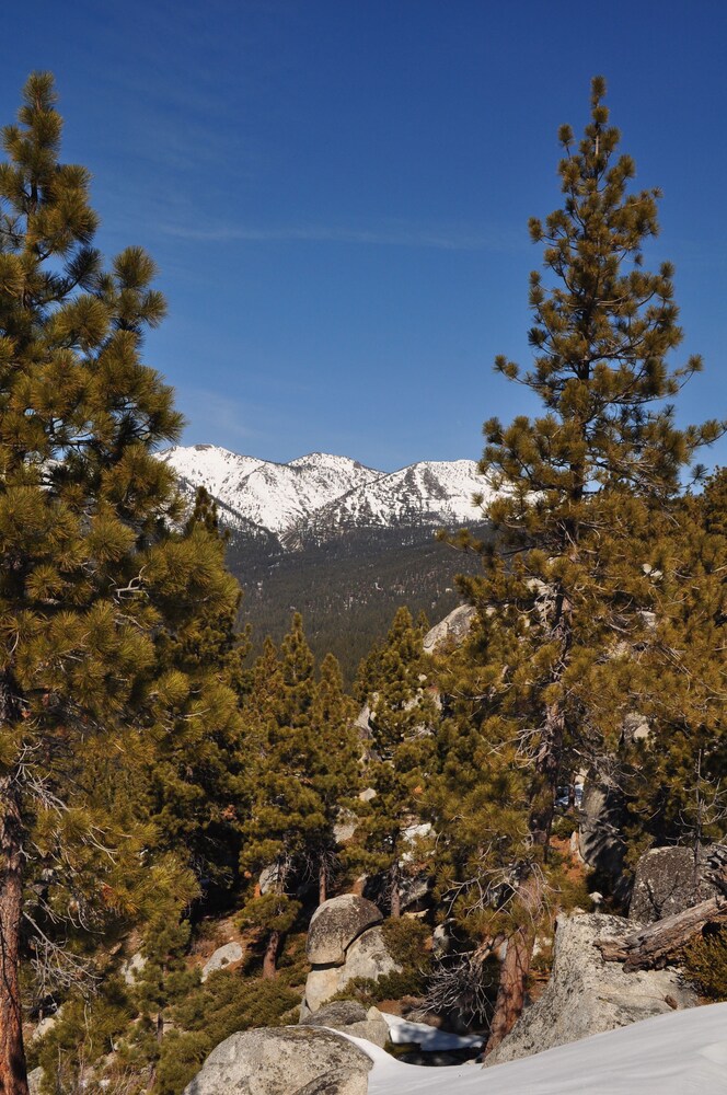 Tahoe Chaparral - photo 34