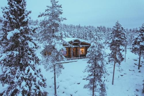 Aurora Igloo Sauna Spa & Dinner by Invisible Forest Lodge Adults Only — 4-Star Luxury Hotel in Rovaniemi, Finland
