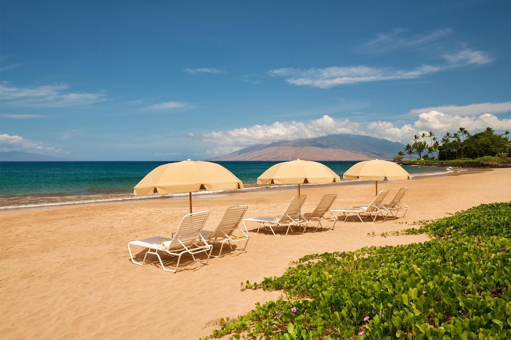 Grand Wailea Resort Hotel & Spa A Waldorf Astoria Resort - photo 205