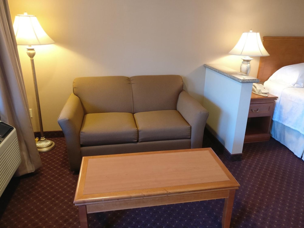 Burbank Inn and Suites - photo 8
