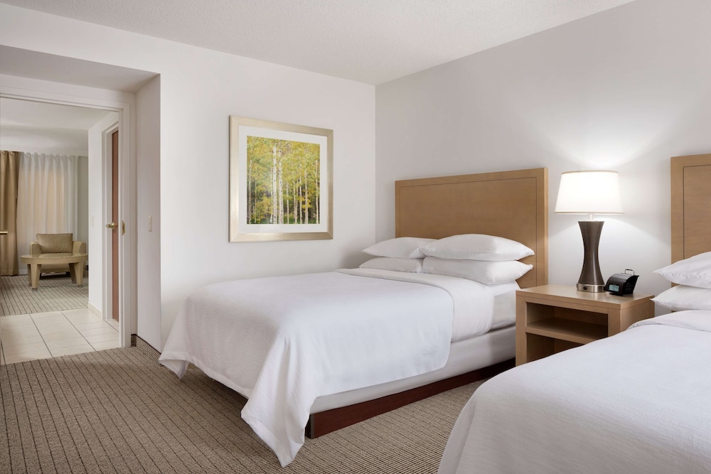 Embassy Suites by Hilton Denver International Airport - photo 18