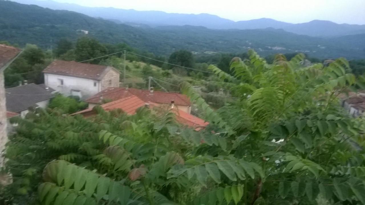 Ca Ermenegarda — Bagnone — photo 5