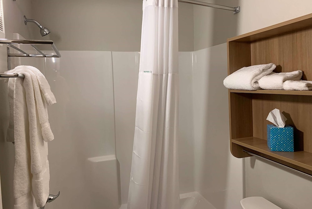 Microtel Inn & Suites by Wyndham Woodland Park - photo 16