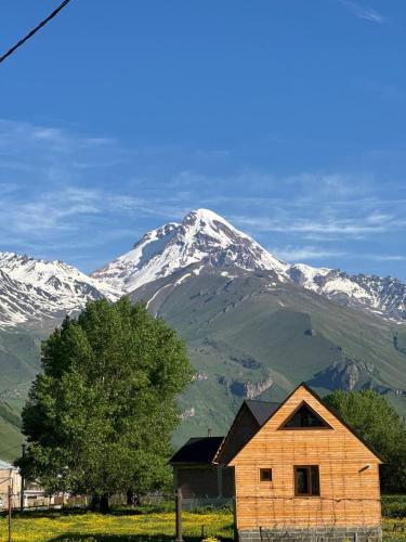 Cottage Aisi კოტეჯი აისი