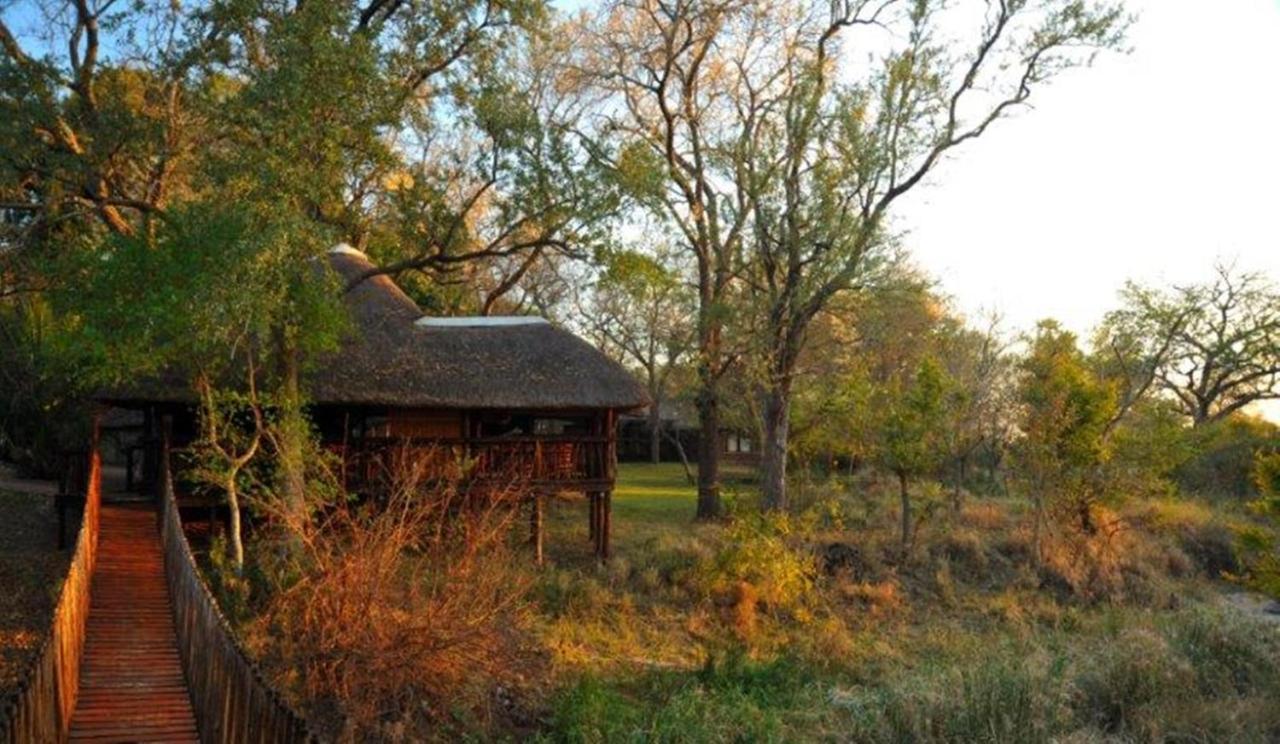 Idube Game Reserve - last minute hotel in Unknown City