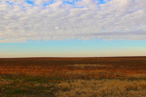 Southern Inn & Suites Lamesa - photo 9