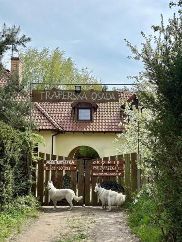 Agroturystyka Traperska Osada - last minute hotel in Unknown City