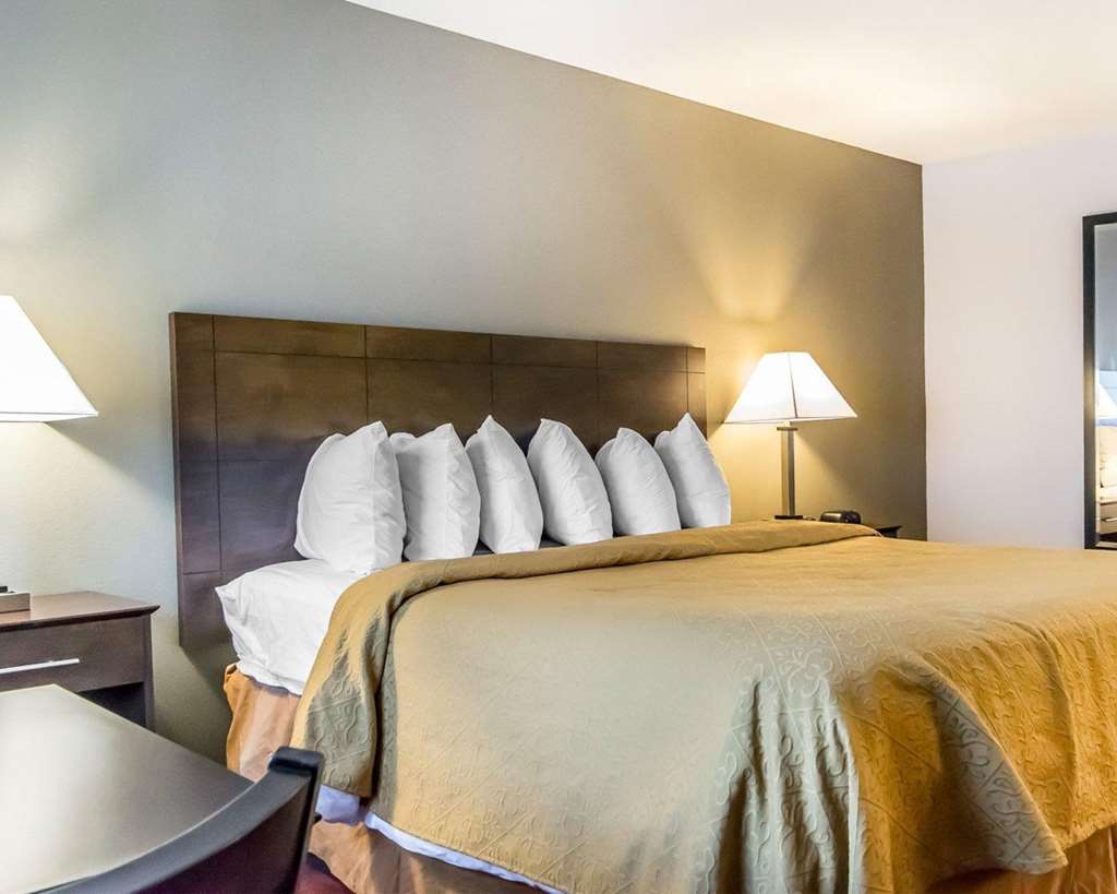 Quality Inn & Suites University Airport - photo 23